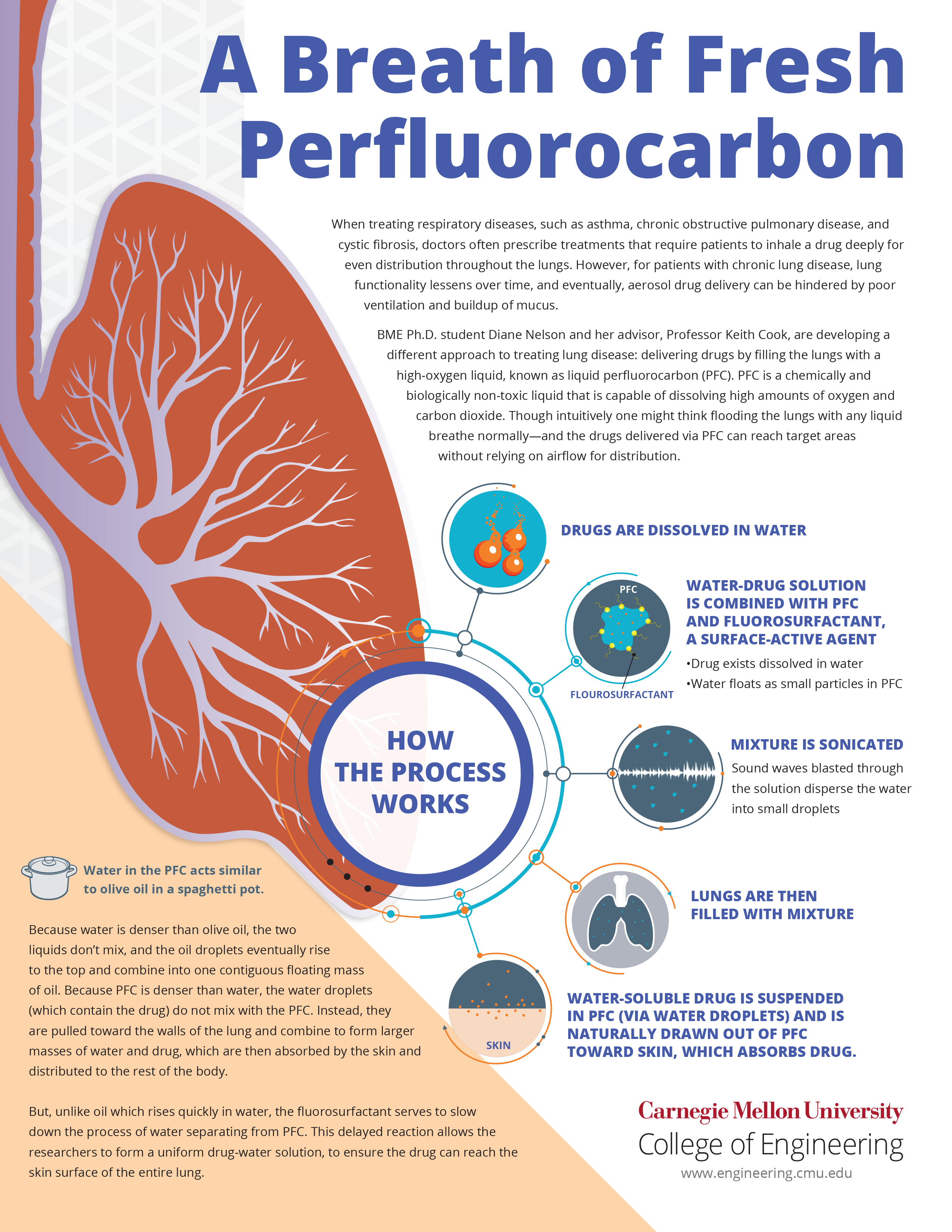 Infographic on liquid drug delivery to lungs