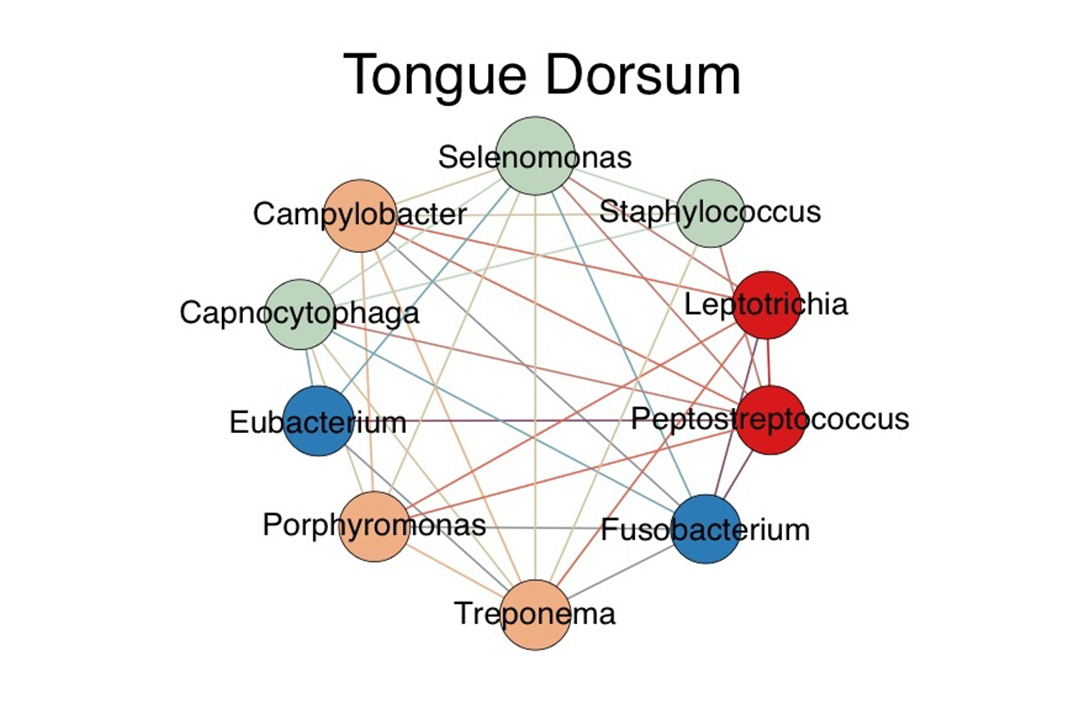 Tongue Dorsum network illustration