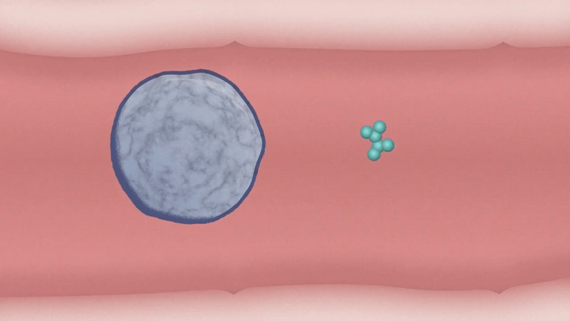 Animation showing large grey circle moving out of a pink tunnel